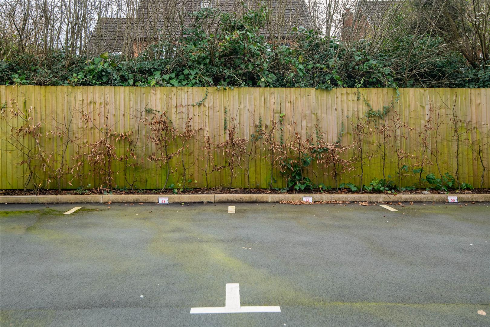Lady Fern Field, Wigan